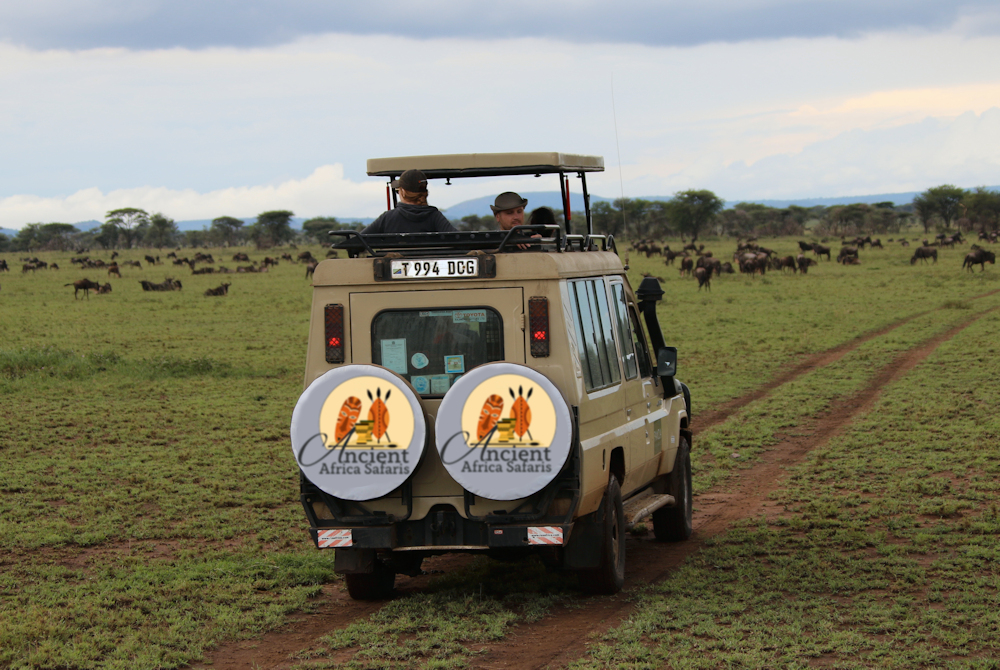 safari uganda ltd