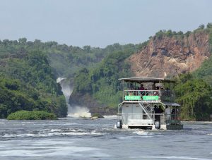 murchison falls cruise uganda