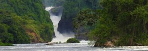3 days Murchison Falls National Park Safari- Boat cruise moments