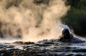 Hotsprings in Semliki