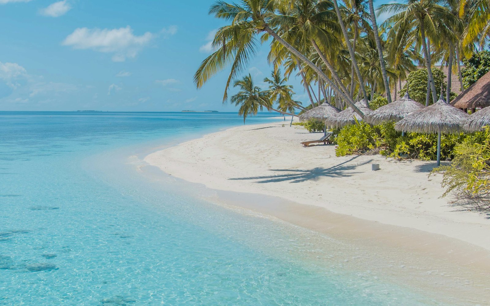 Serengeti & Zanzibar Honeymoon