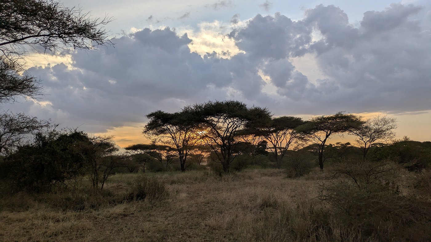 Serengeti Tanzania flying safari